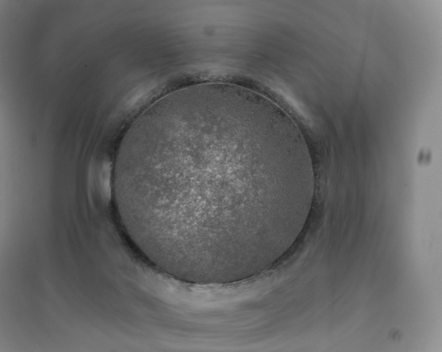 X0000094460022200711151500