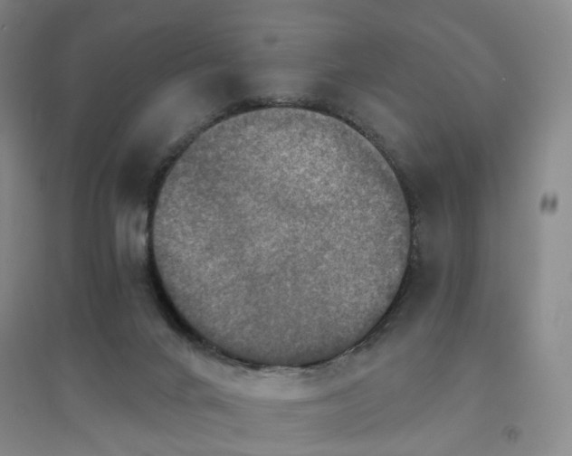 X0000094460024200711151500