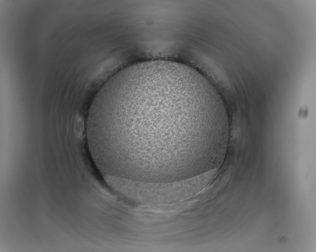 X0000094460025200711151500