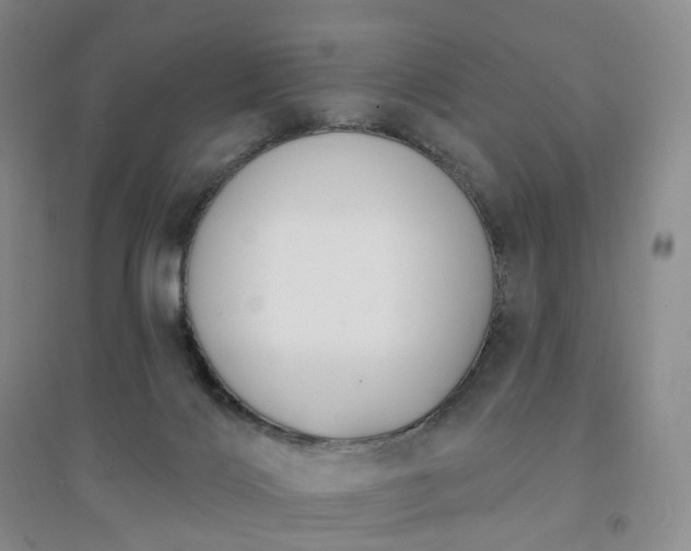 X0000094460028200711151500