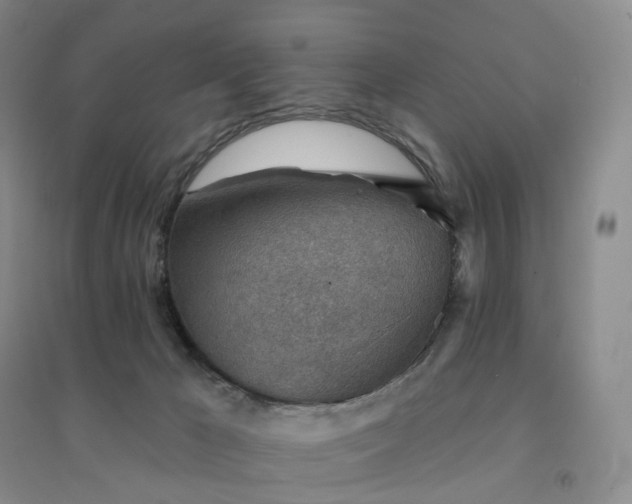 X0000094460029200711151500
