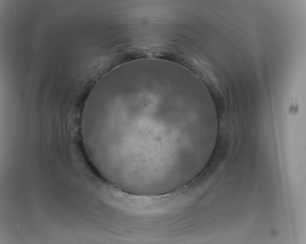 X0000094460030200711151500