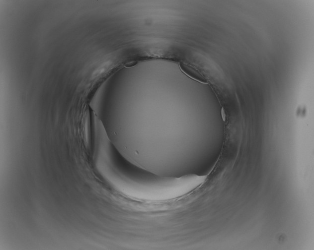 X0000094460031200711151500