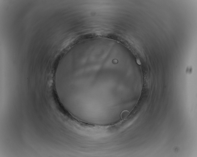 X0000094460032200711151500