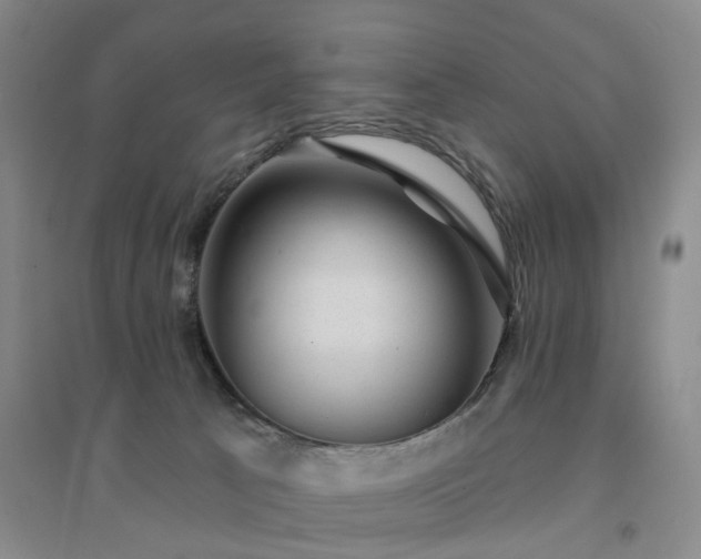 X0000094460033200711151500