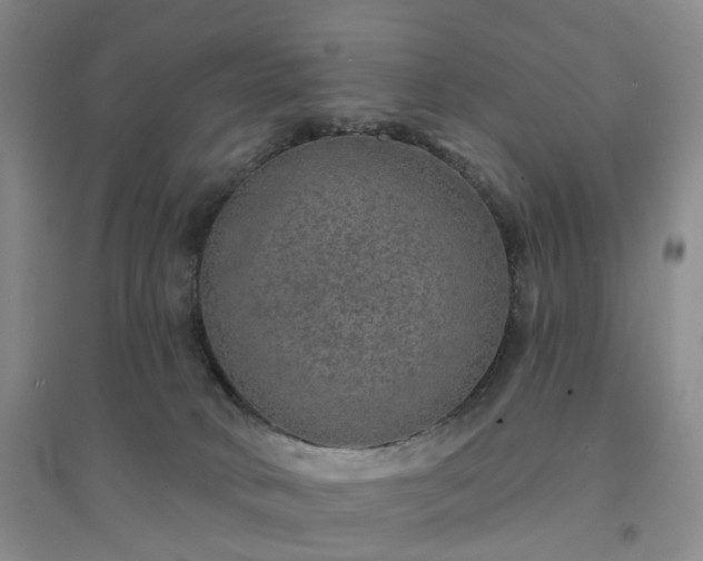 X0000094460034200711151500