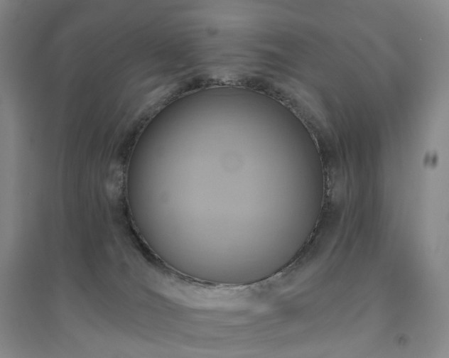 X0000094460036200711151500