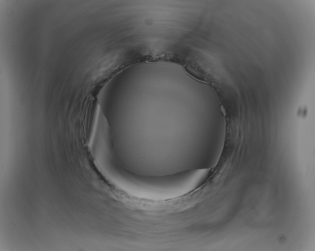 X0000094460039200711151500