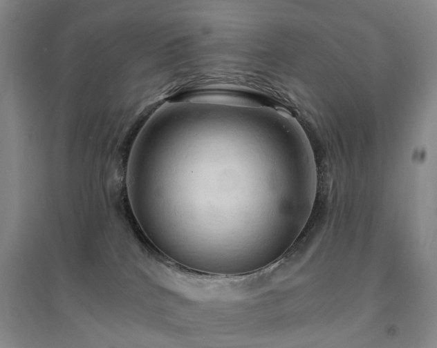 X0000094460040200711151500