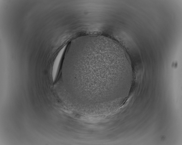 X0000094460041200711151500
