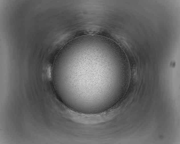 X0000094460042200711151500
