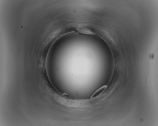 X0000094460044200711151500