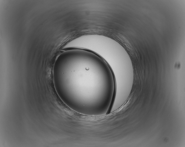 X0000094460045200711151500