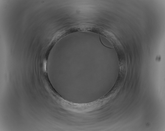 X0000094460046200711151500