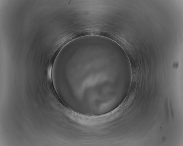 X0000094460047200711151500