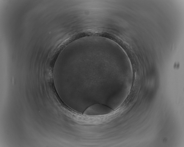 X0000094460048200711151500