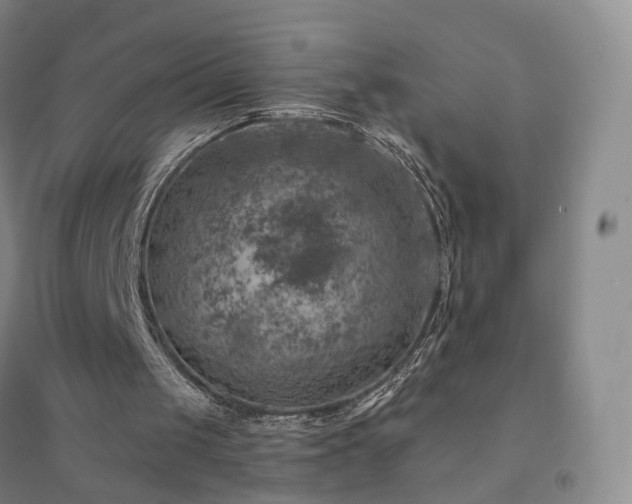 X0000094460049200711151459