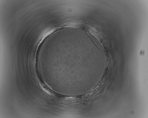 X0000094460050200711151459