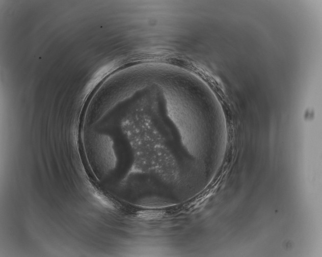 X0000094460051200711151459