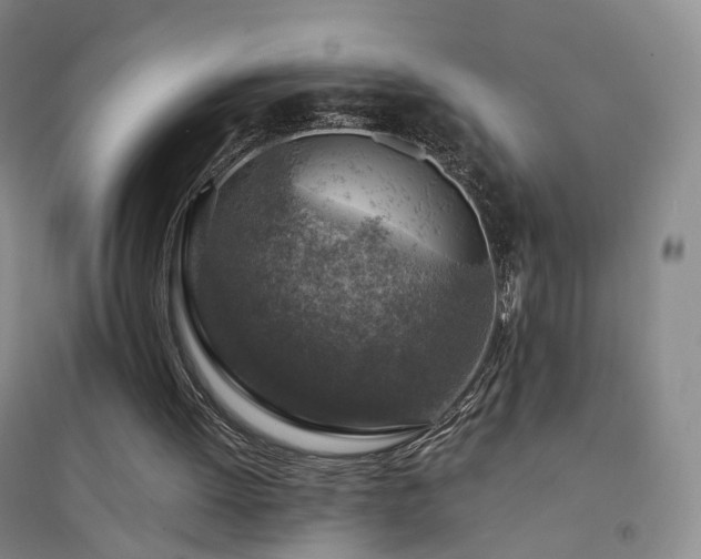 X0000094460052200711151459