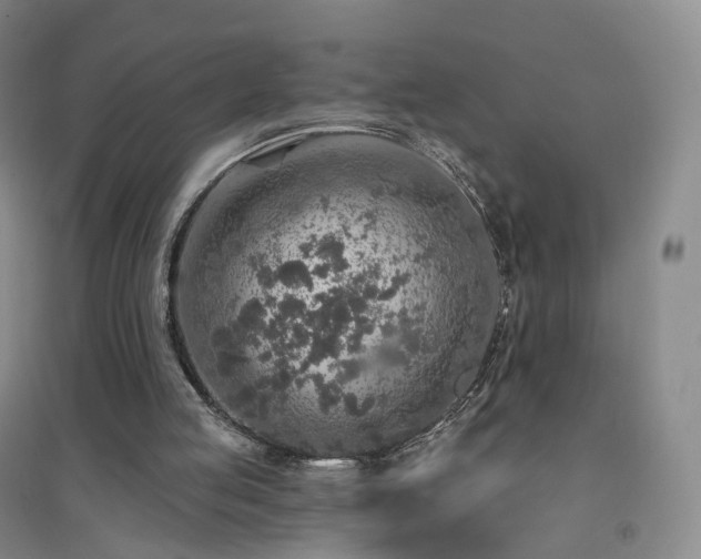 X0000094460053200711151459