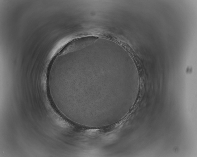 X0000094460054200711151459