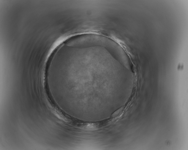 X0000094460056200711151459