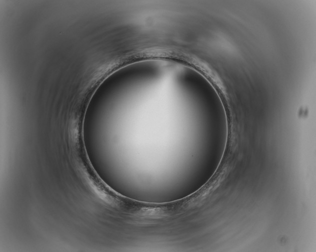 X0000094460057200711151459