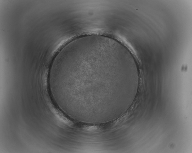X0000094460058200711151459