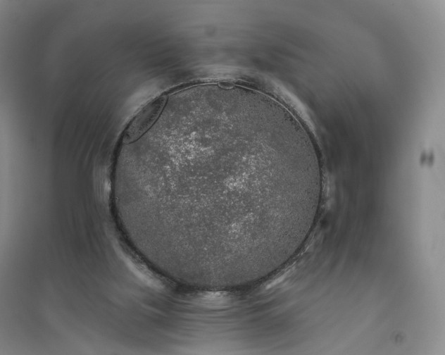 X0000094460059200711151459