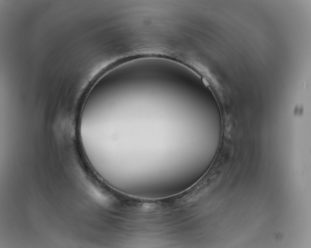X0000094460060200711151459