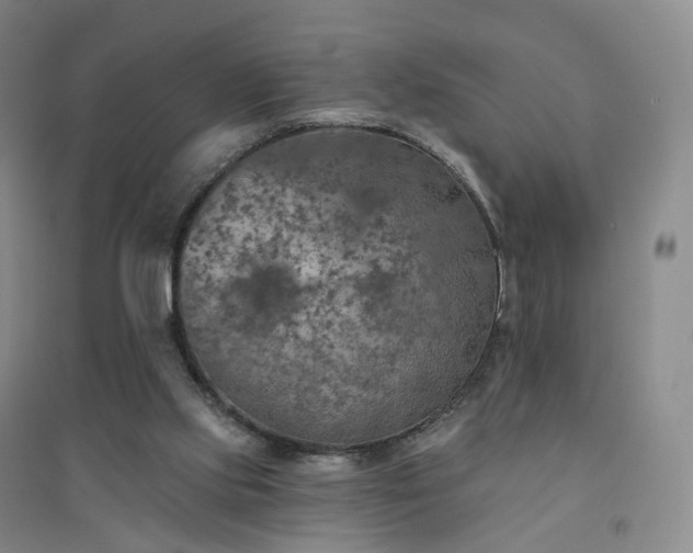 X0000094460061200711151459