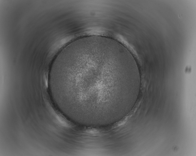 X0000094460062200711151459