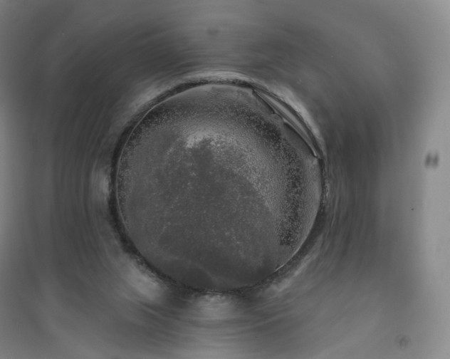 X0000094460063200711151459