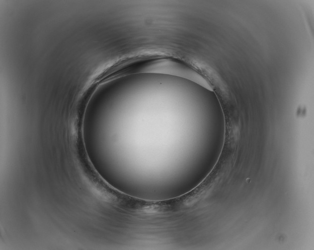 X0000094460064200711151459