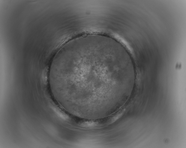 X0000094460065200711151459