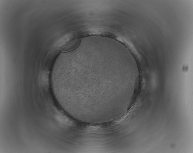 X0000094460066200711151459