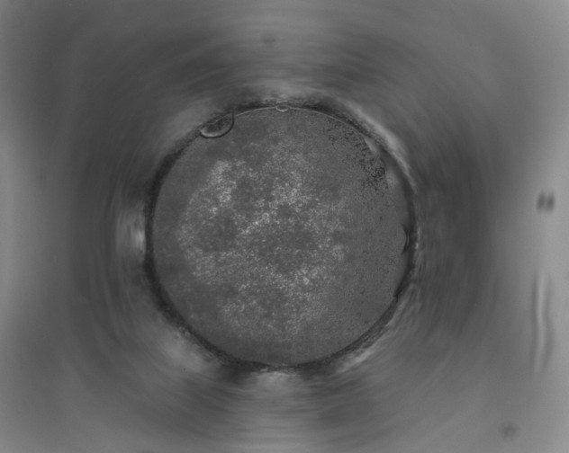 X0000094460067200711151459
