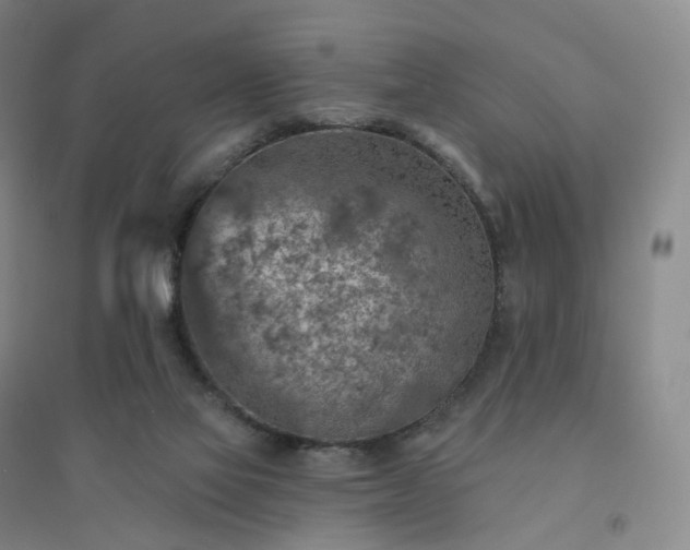 X0000094460069200711151459