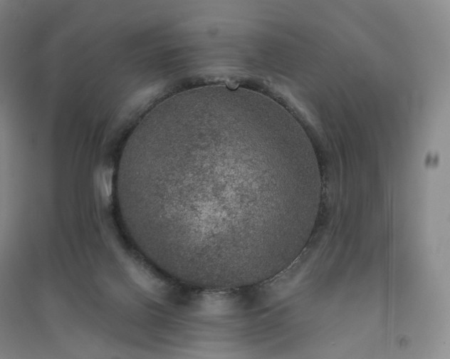 X0000094460070200711151459
