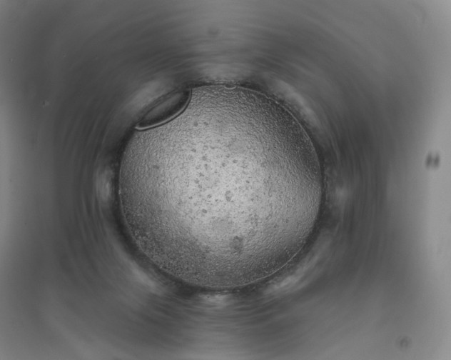 X0000094460071200711151459