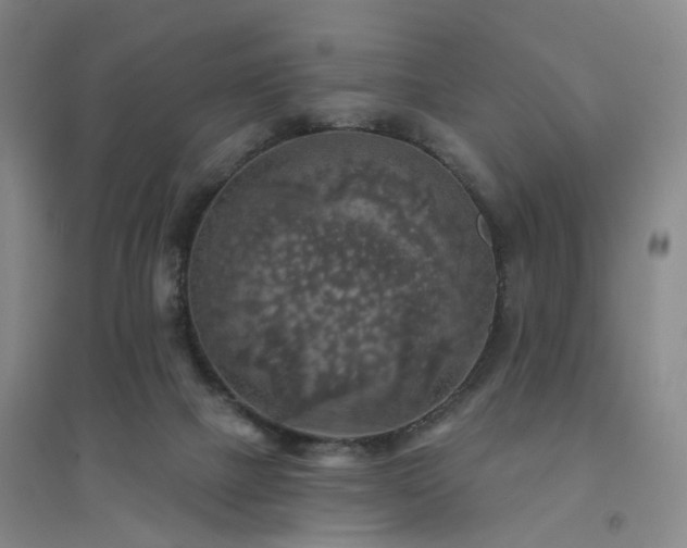 X0000094460073200711151459