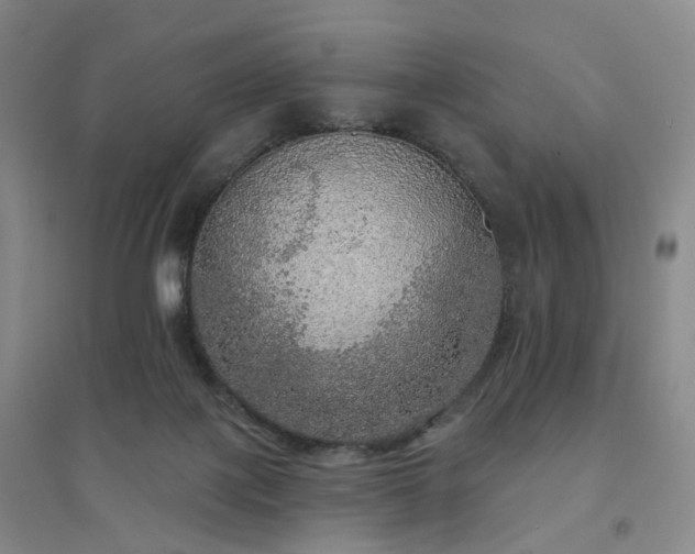 X0000094460075200711151459