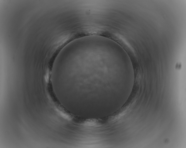 X0000094460076200711151459