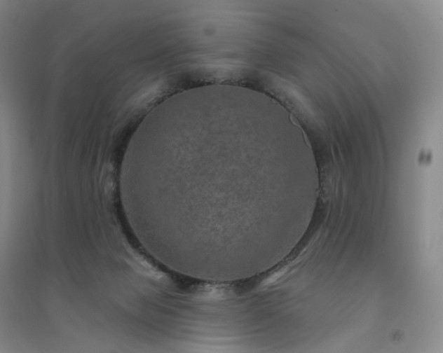 X0000094460077200711151459