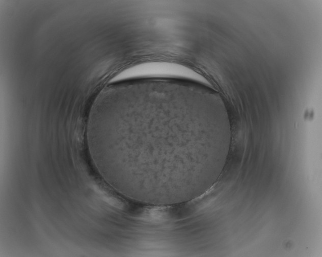 X0000094460078200711151459