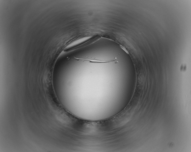 X0000094460079200711151459