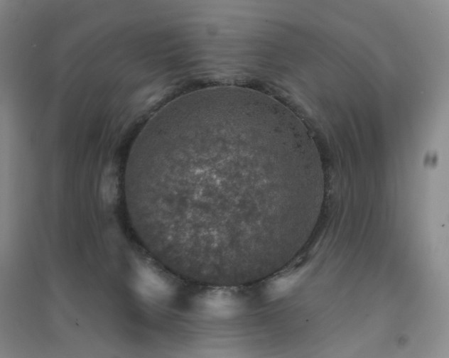 X0000094460080200711151459