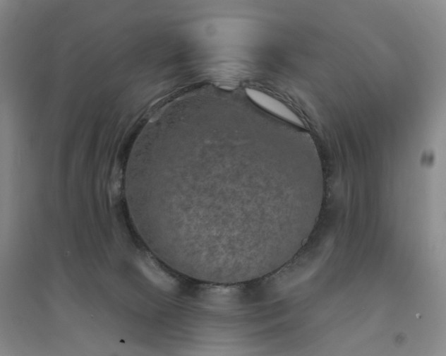 X0000094460081200711151459