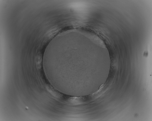X0000094460082200711151459